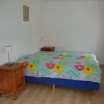 Σπίτι διακοπών In Vidochov Near Slopes *