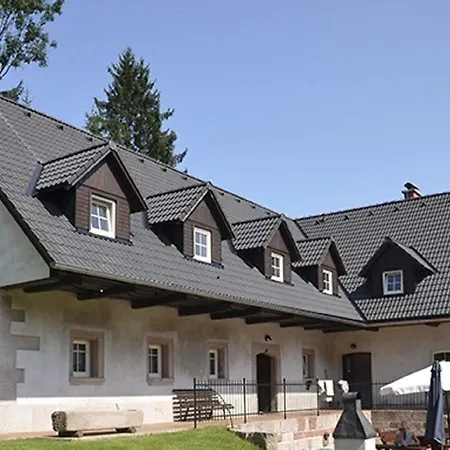 Modern In Vidochov With Private Swimming Pool