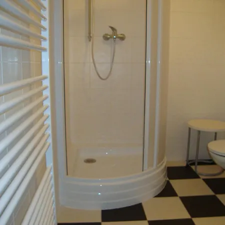 Modern In Vidochov With Private Swimming Pool Holiday home Tachov (Plzen)