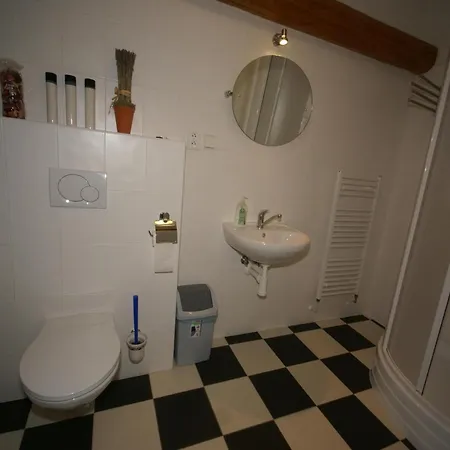 Modern In Vidochov With Private Swimming Pool *