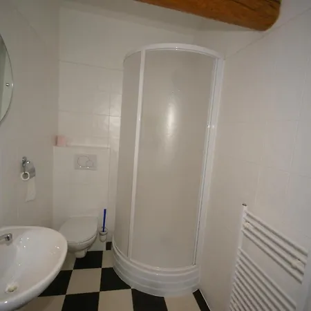 Modern In Vidochov With Private Swimming Pool Tachov (Plzen)