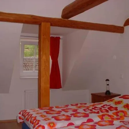 Modern In Vidochov With Private Swimming Pool