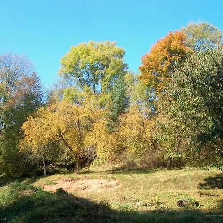 In Vidochov Near Slopes بيت للعطل تاخوف